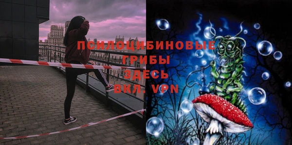 мдпв Абаза