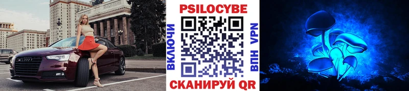 продажа наркотиков  Салават  Галлюциногенные грибы Psilocybe 